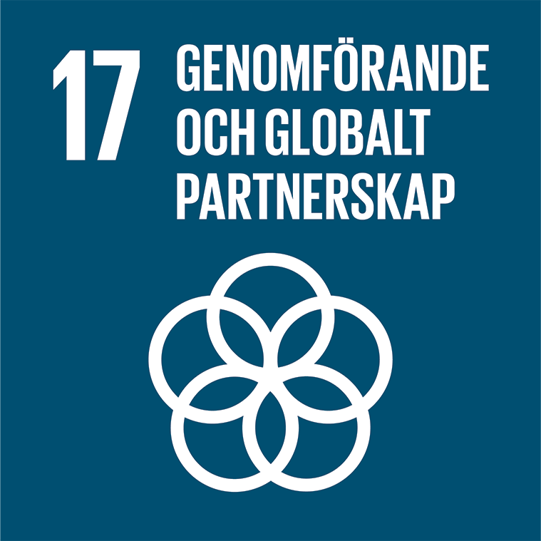 Globala målen 17: Genomförande och globalt partnerskap